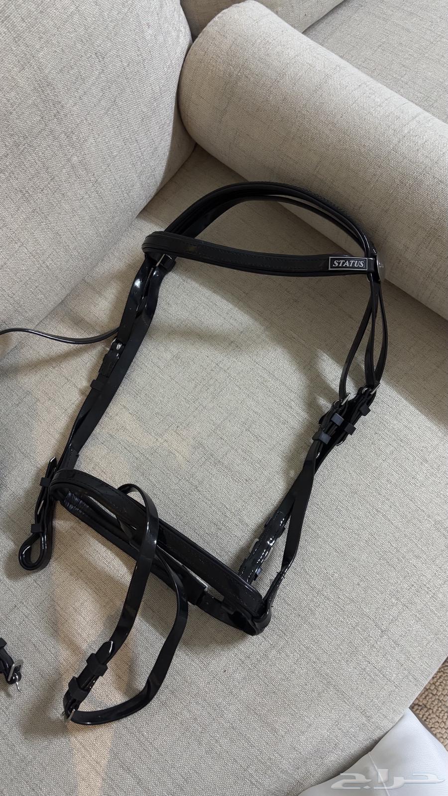 Excellent original STATUS saddle64433215741058112