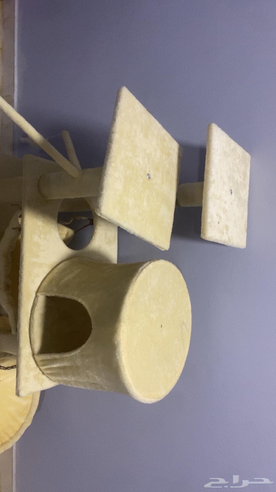 Cat tree or cat scratching post for cats64433012990594112