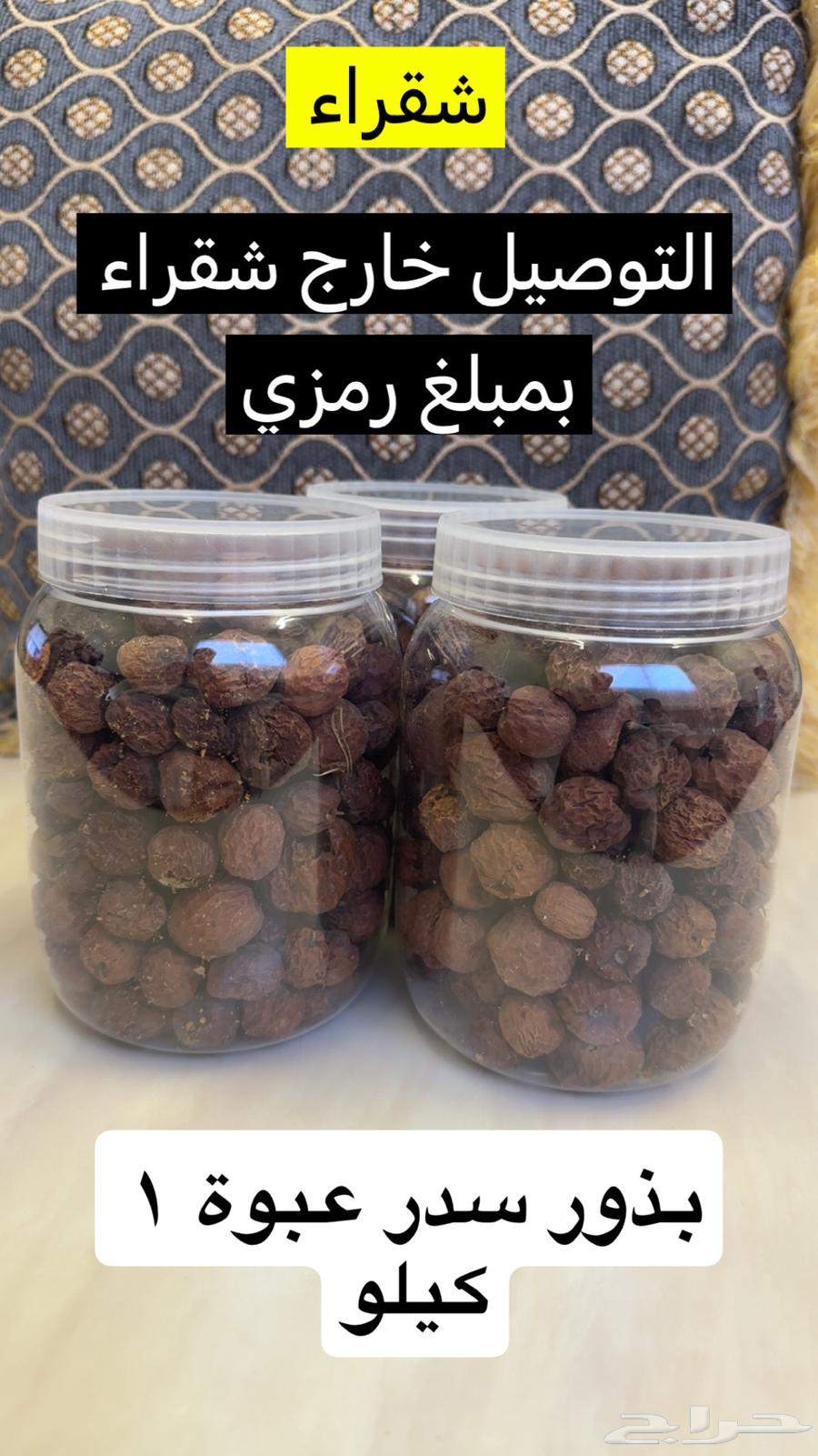 بذور سدر بلدي64430531831681110