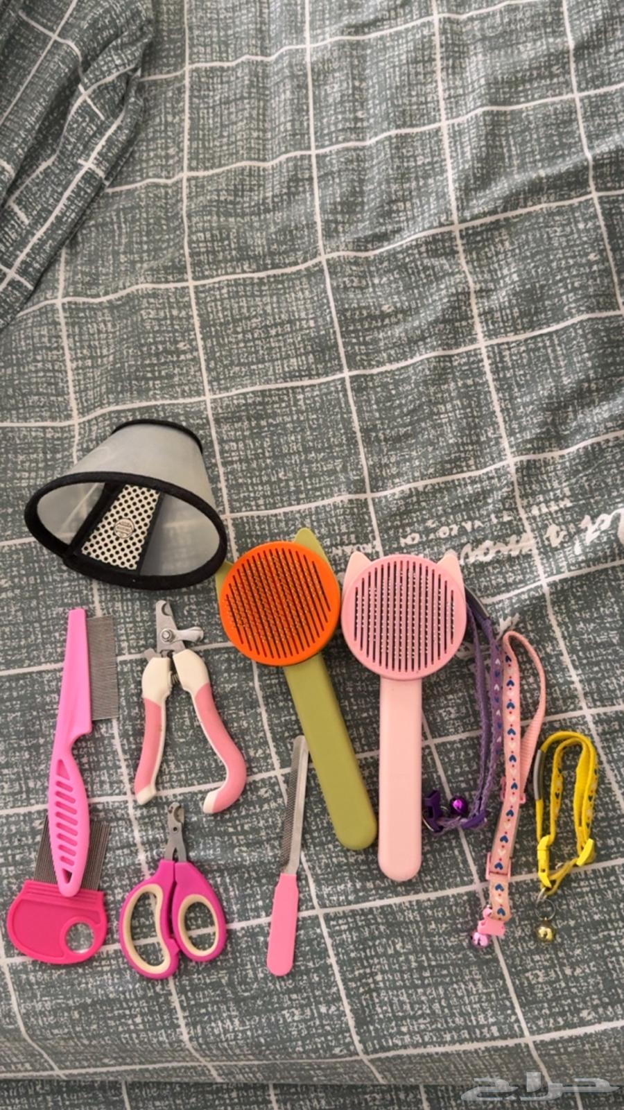 أغراض قطه للبيع64428066563073112