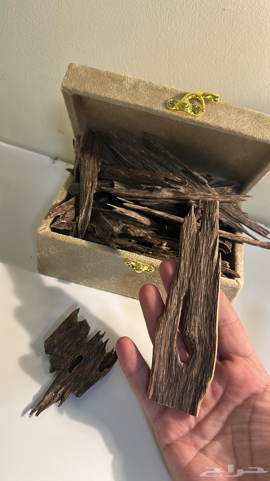 عود هندي ناجلاند64427196109186112