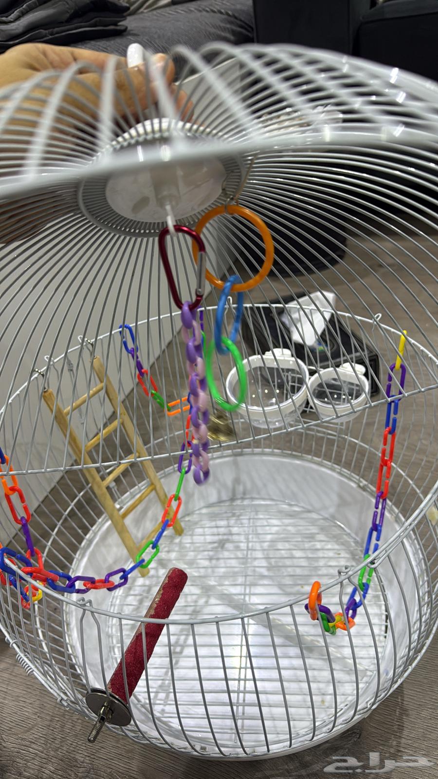 قفص عصافير64431413039618114