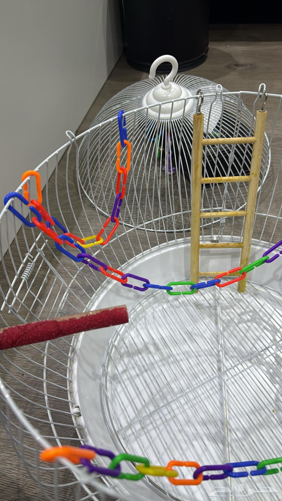 قفص عصافير64431413039618112