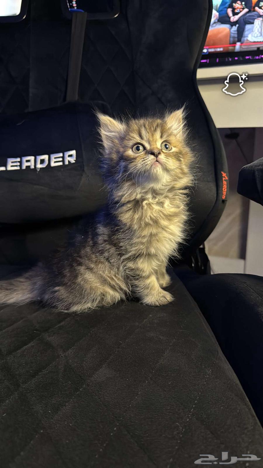 Scotch Street (Sold)64431048472963110