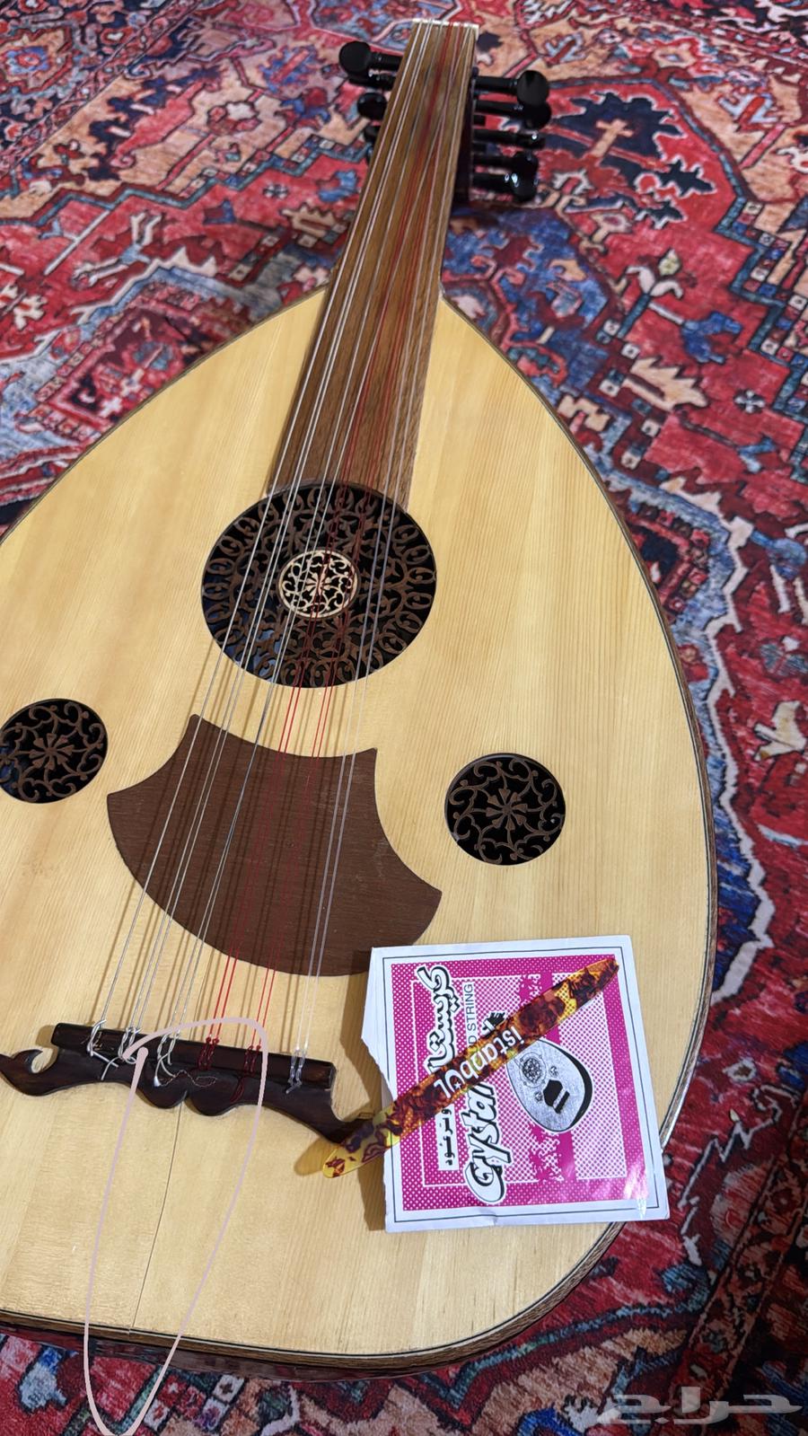 عود للبيع على السوم64432060615809110