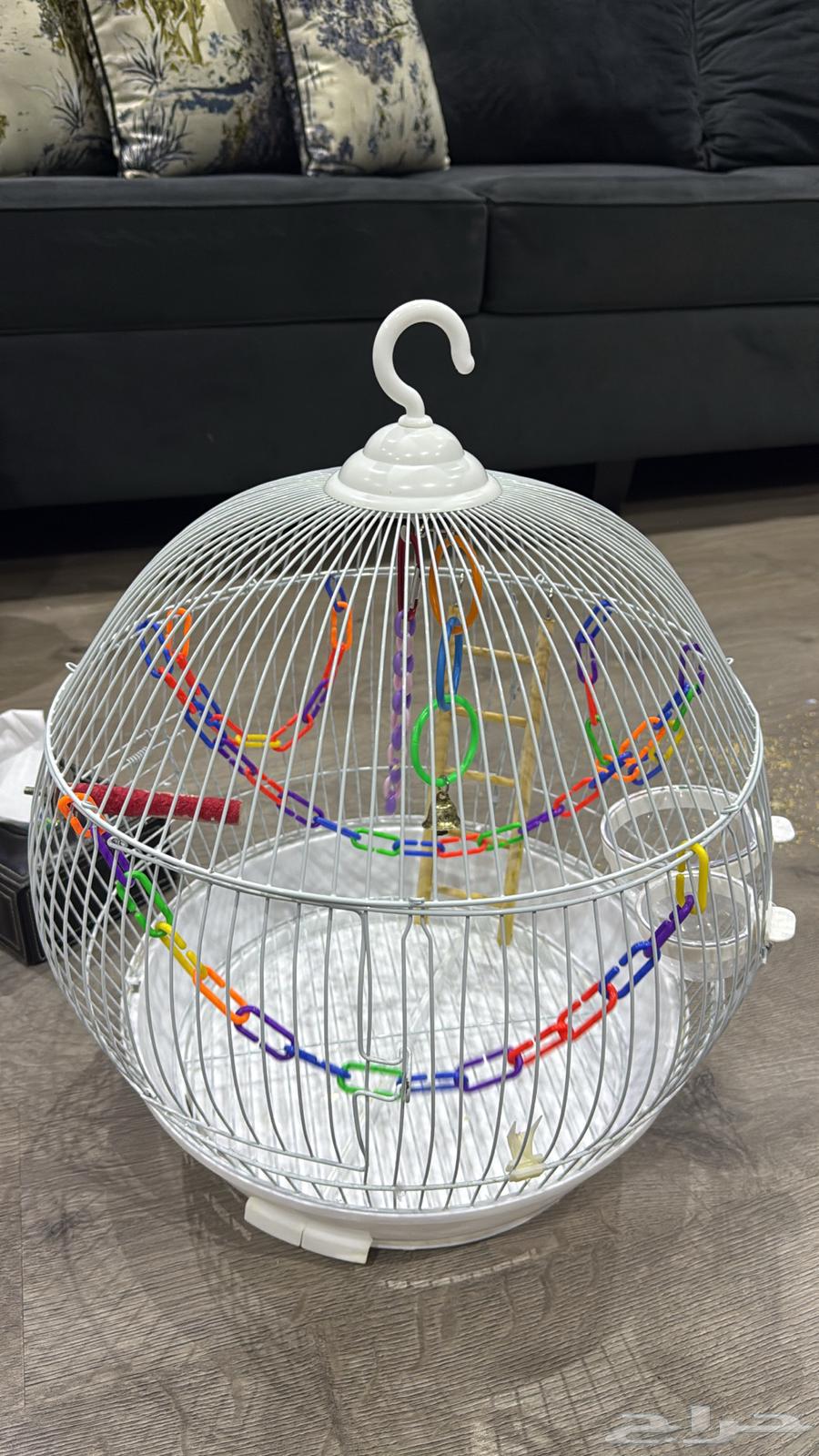 قفص عصافير64431413039618110