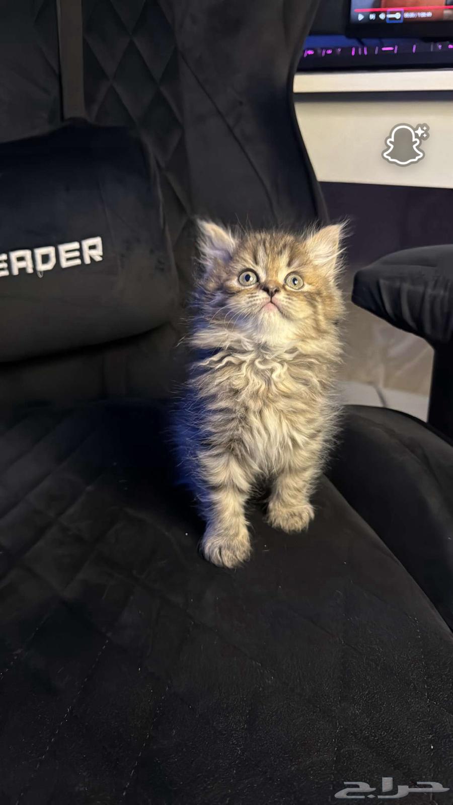 Scotch Street (Sold)64431048472963113