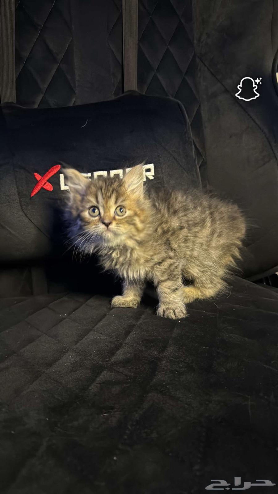 Scotch Street (Sold)64431048472963112