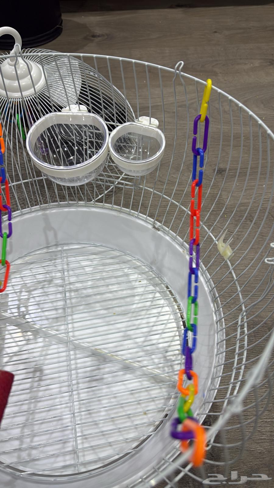 قفص عصافير64431413039618111