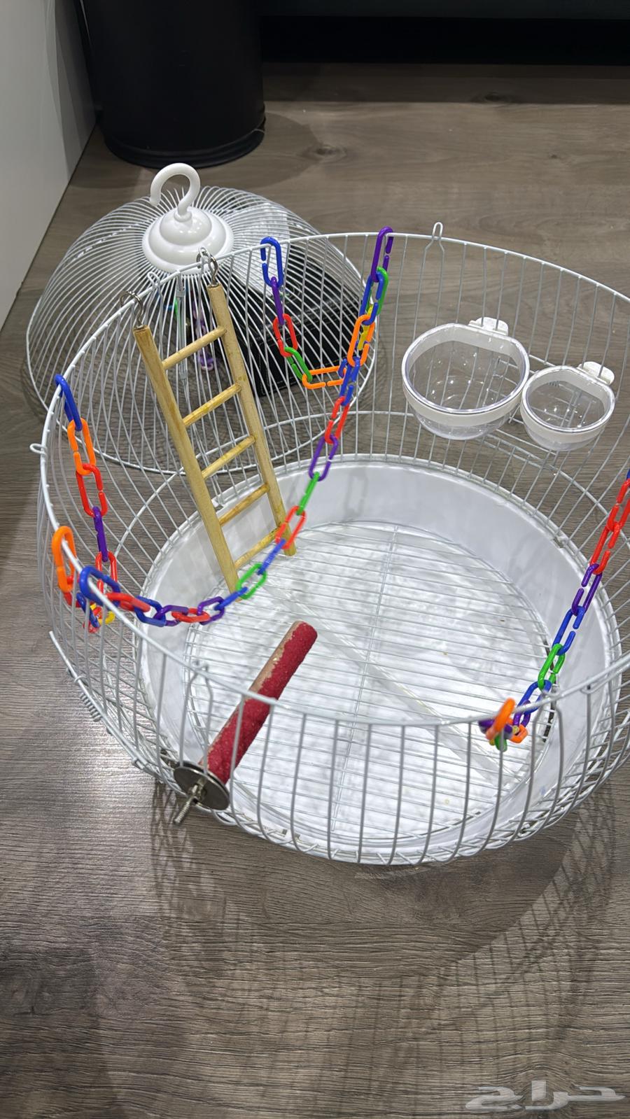 قفص عصافير64431413039618113