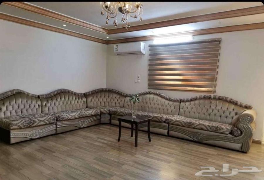 كنب تركي للبيع64431828386307110