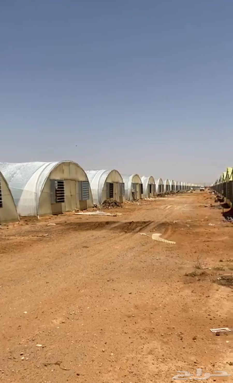 للبيع بيوت محميه مكيفة64431657447425110