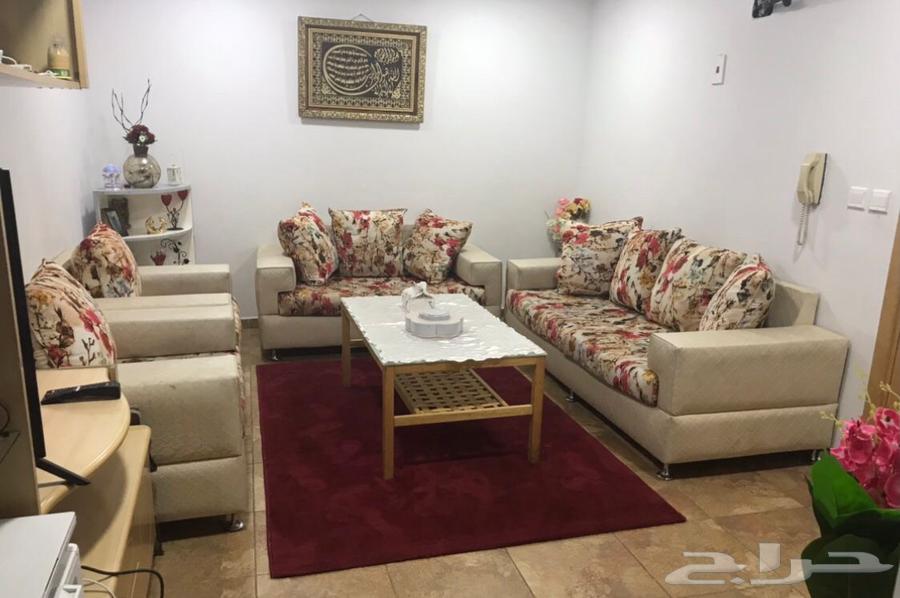 انترية مع سجادة للبيع 300 ريال64427838577411111