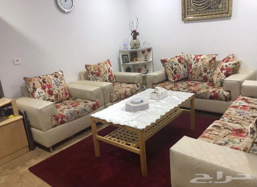 انترية مع سجادة للبيع 300 ريال64427838577411110