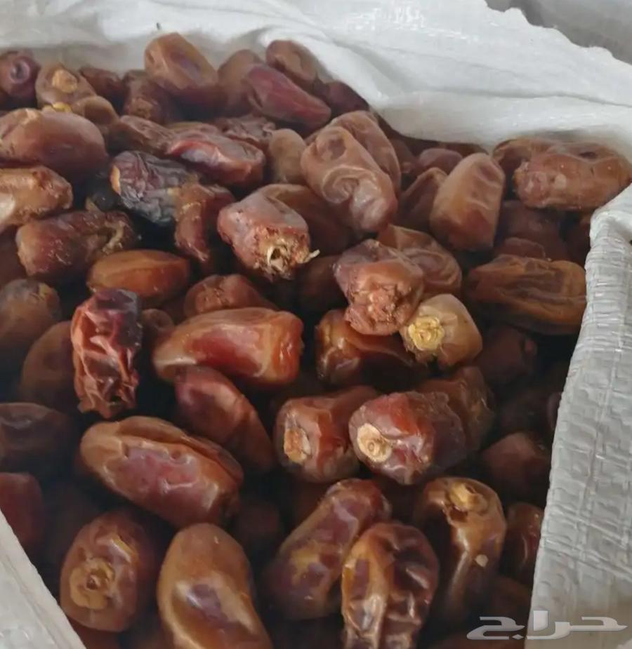 يوجد بيع تمور.64432142505986110