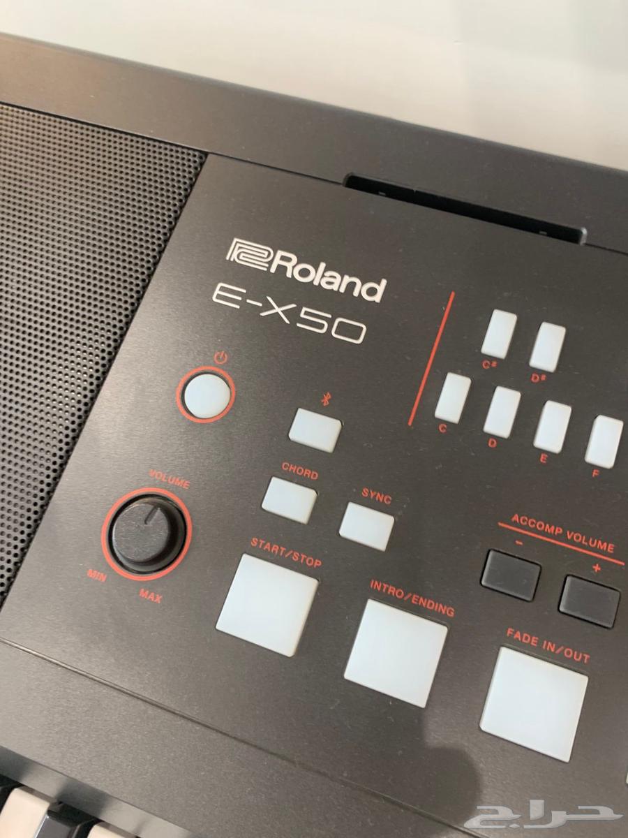 اورق شرقي رولاند E-X5064430299812737111