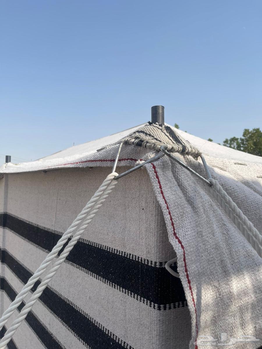 لبيع بيوت الشعر الابيض درجه اولى نسبة الشعر 80 10064589977452673111