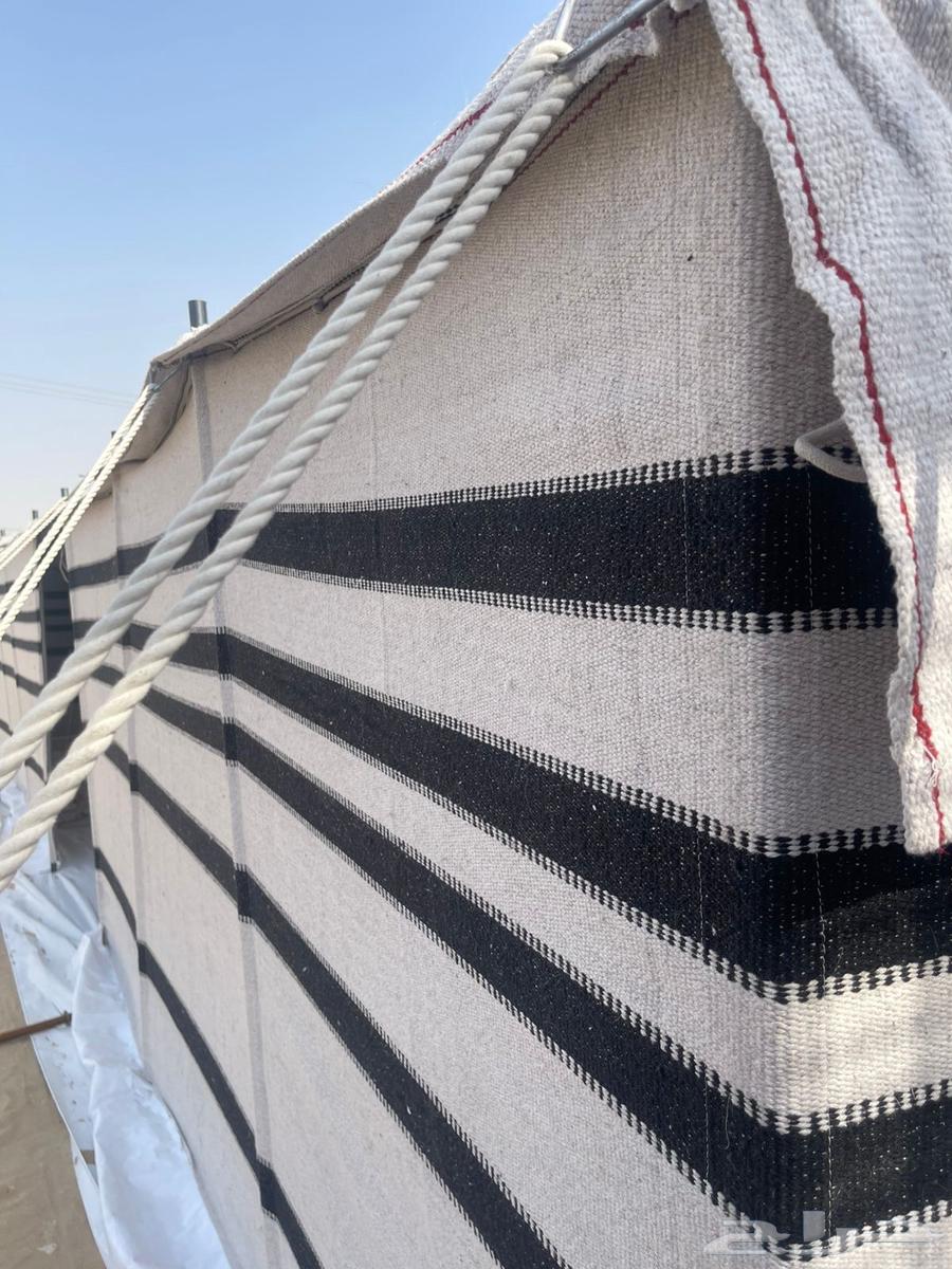 لبيع بيوت الشعر الابيض درجه اولى نسبة الشعر 80 10064589977452673112