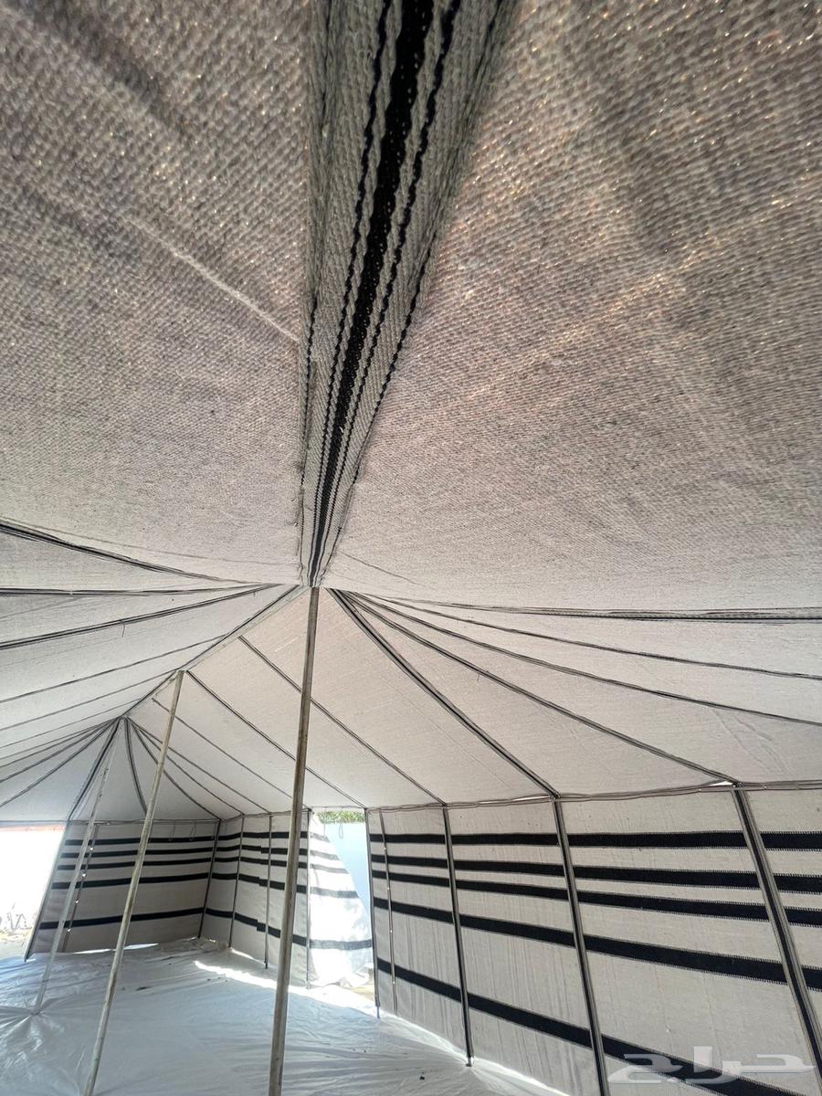 لبيع بيوت الشعر الابيض درجه اولى نسبة الشعر 80 10064589977452673114