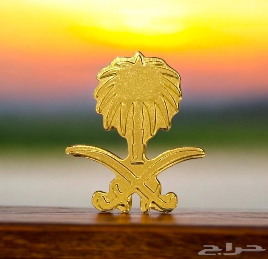 بروشات اليوم الوطني مع كرت64430245727490111