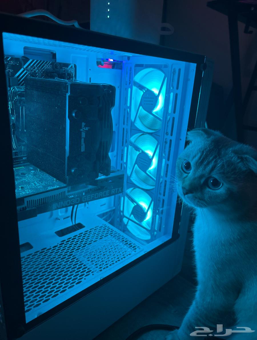 بيسي العاب من إنفني آرك64427264017025110