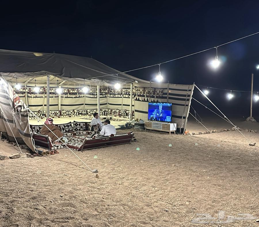 صيوان بيت شعر ابيض (16 في 8)64430097742339112