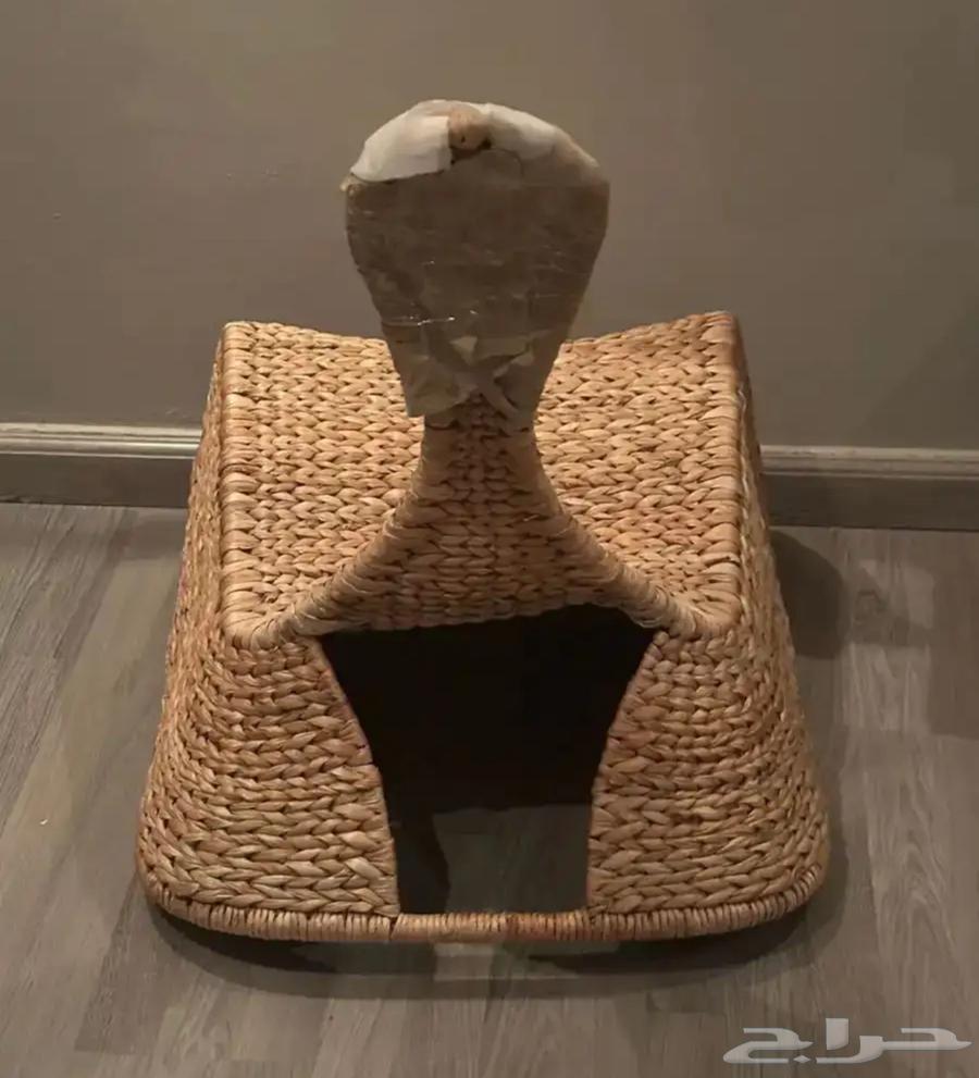 اثاث بيت كرسي هزاز كرسي حديقه هزاز64428806323715111