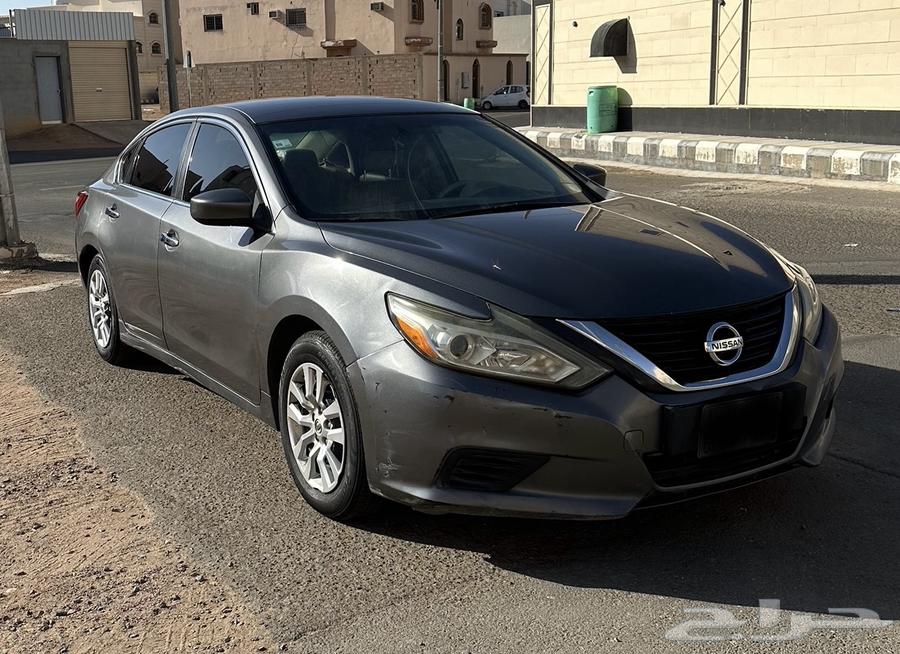 Taima 2017 Standard 2.5S64590789293699111