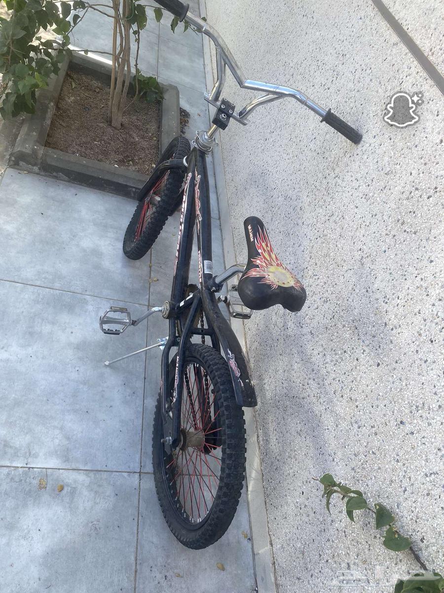 سيكل كوبرا64427986368131113