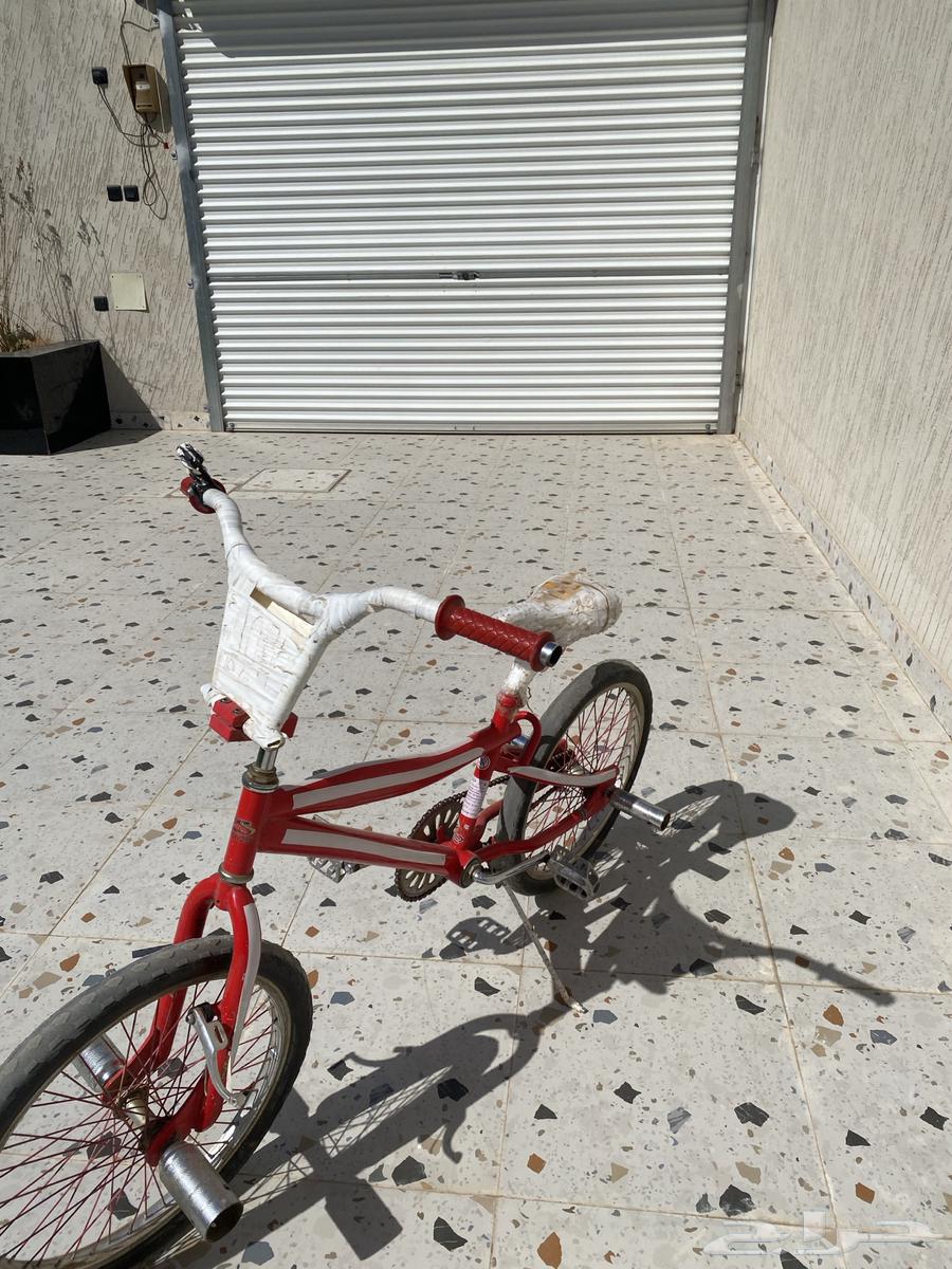 سيكل معدل مقاس 2064429290552322110