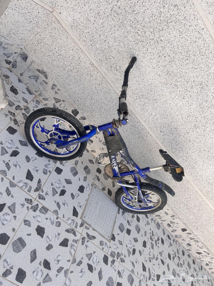 Hello, selling a Cobra bicycle with tight chain and front rim lowered64427784320513110