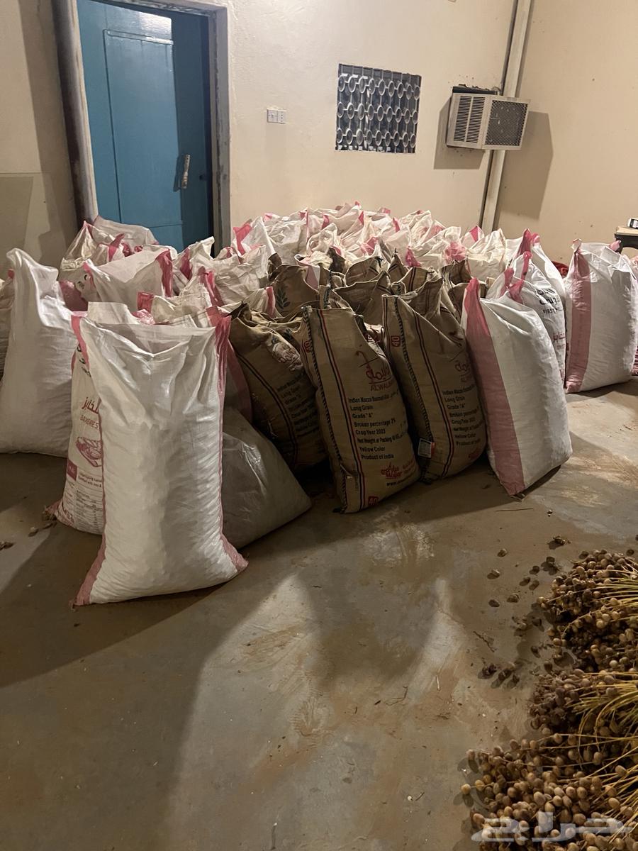 High-quality dates for livestock64431726381187110