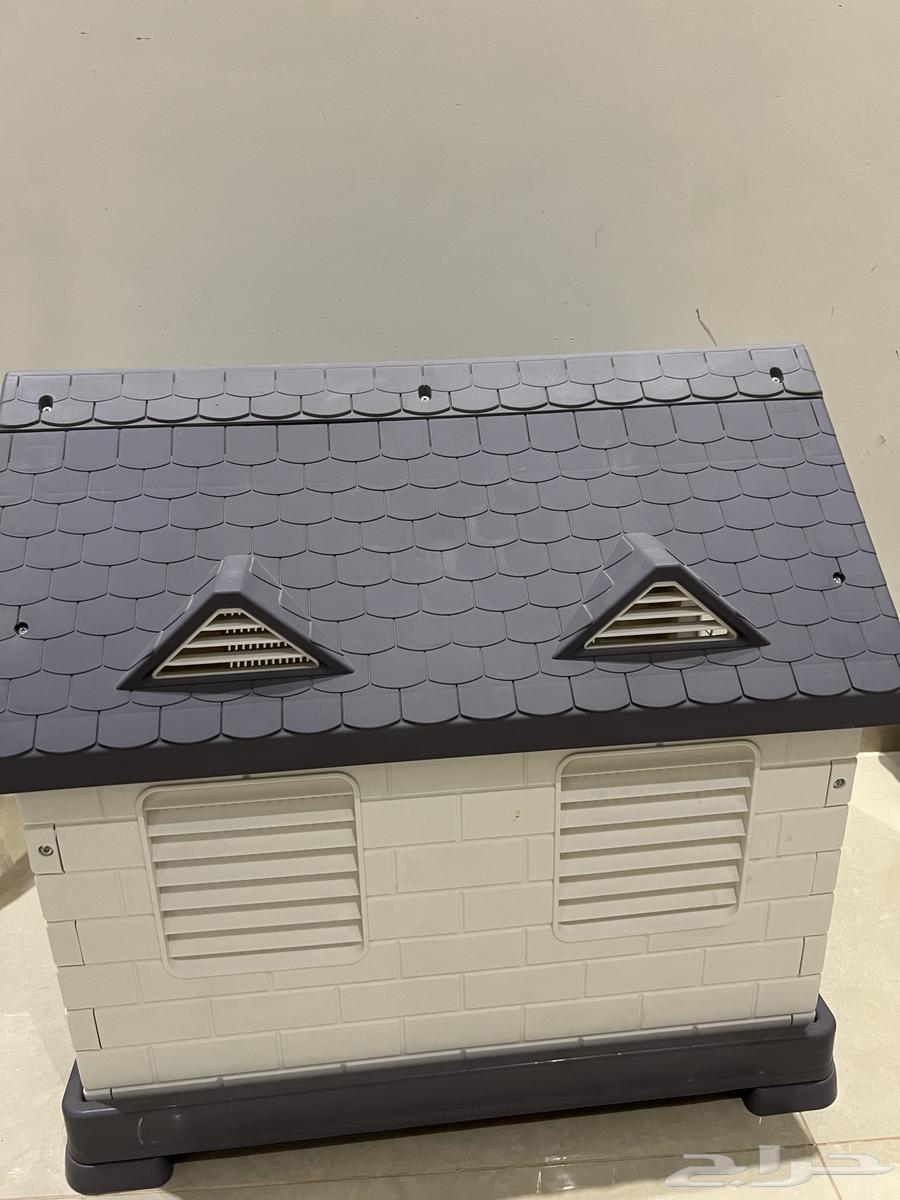 بيت كلب بومرينيان للبيع جديد64426335430017111