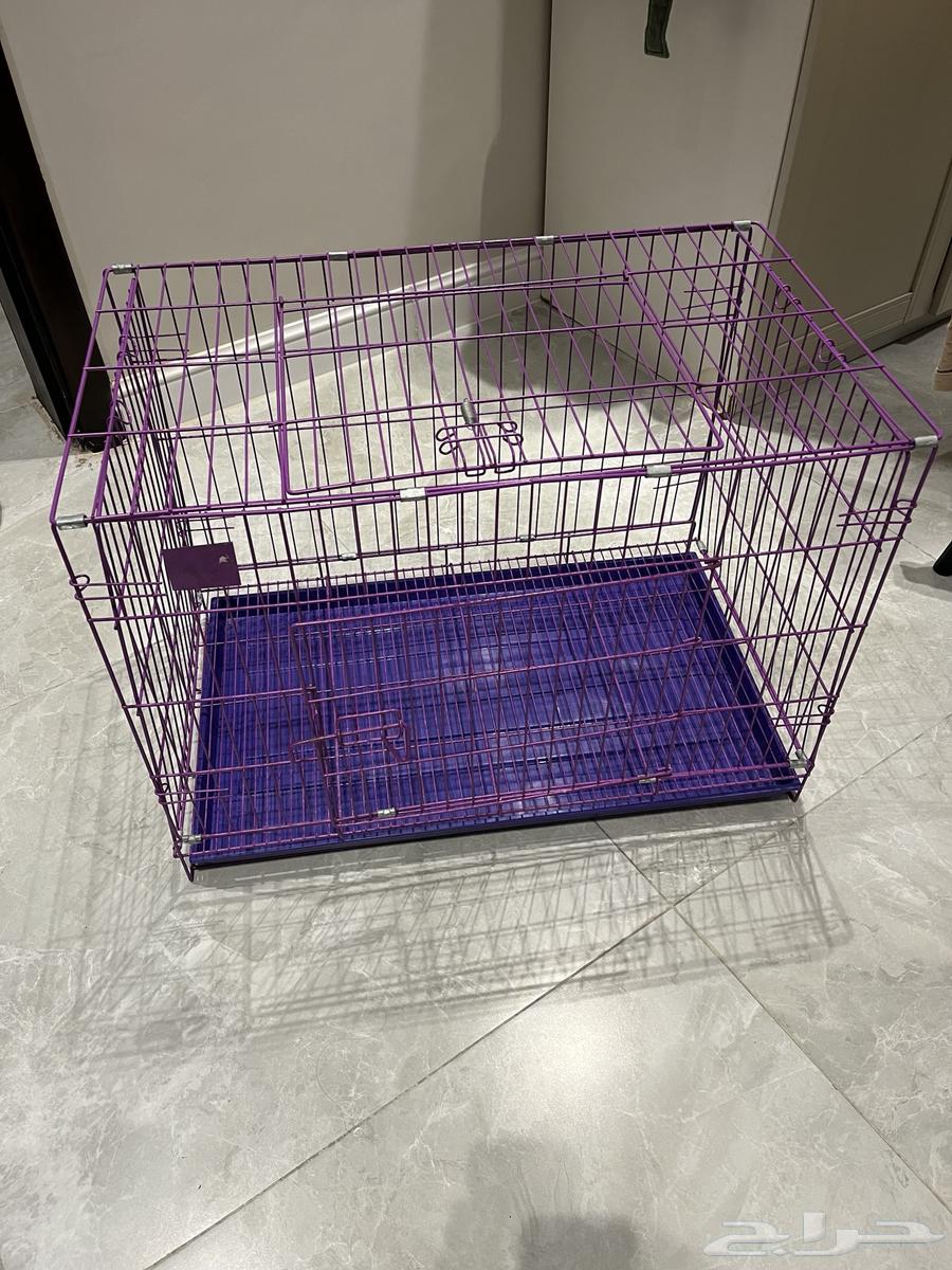 Cat Items64432060650882112