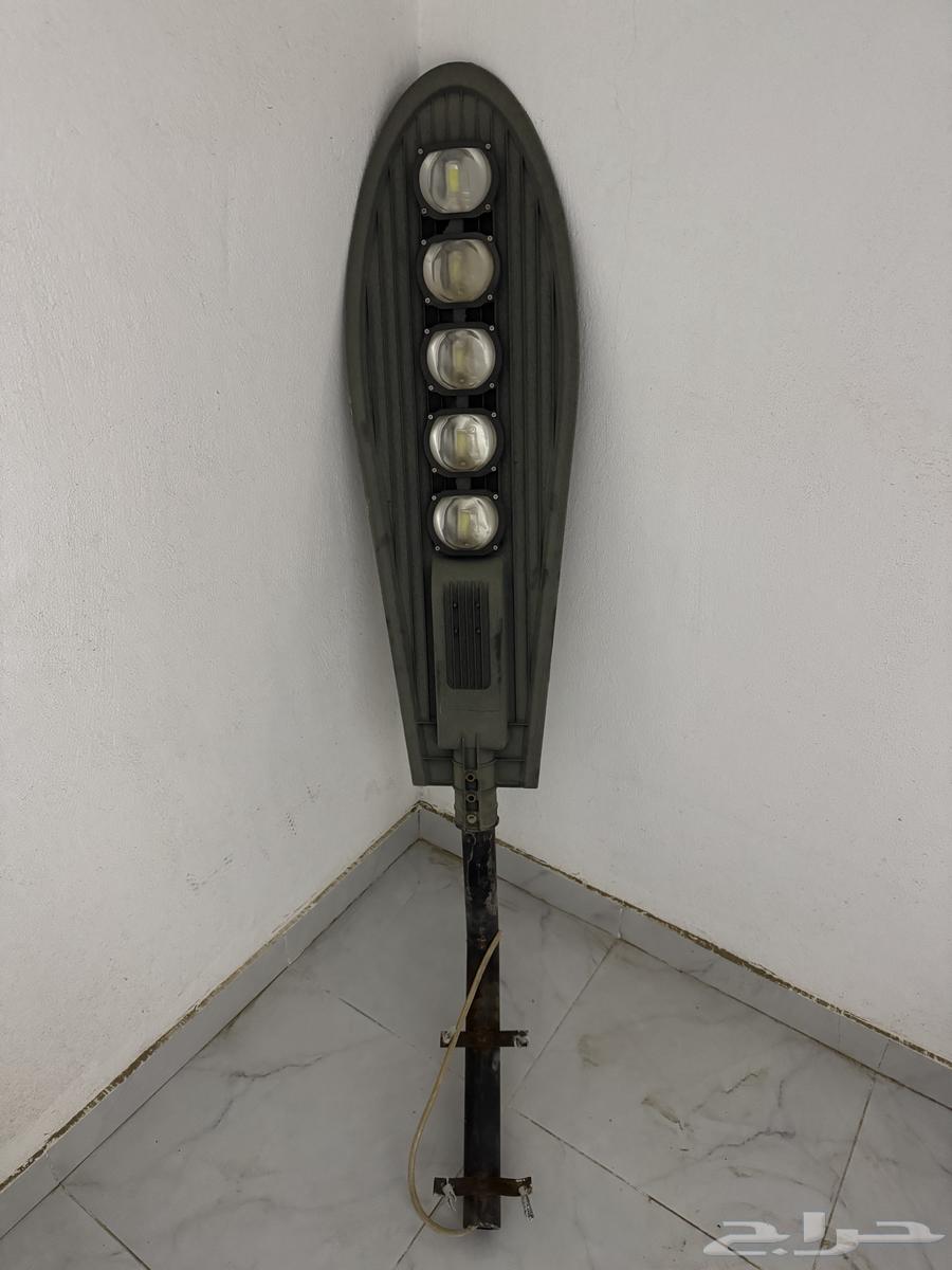 Flashlight, Fan, and Official Mercedes Doll64432930966658110