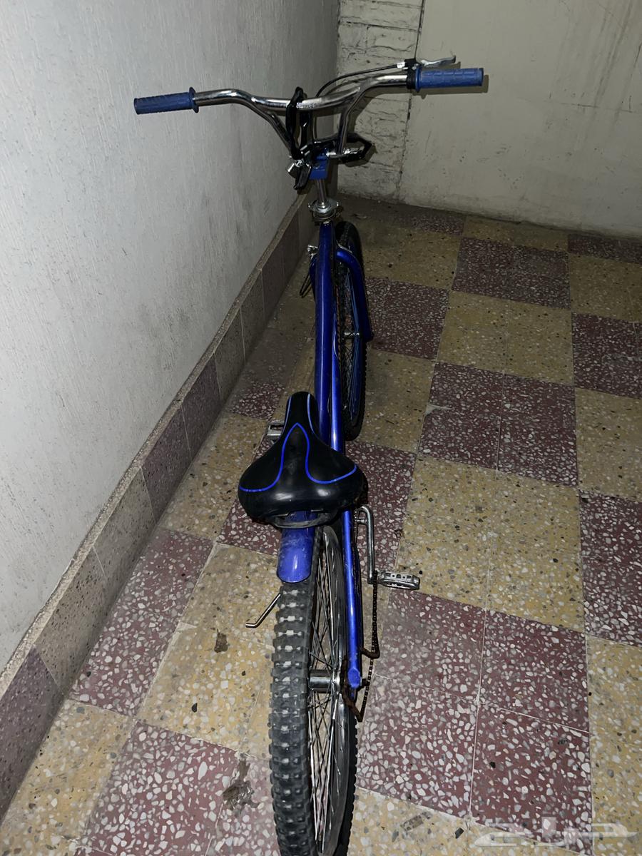 دراجة كوبرة الاصلية من بانوير 2664426147602689110