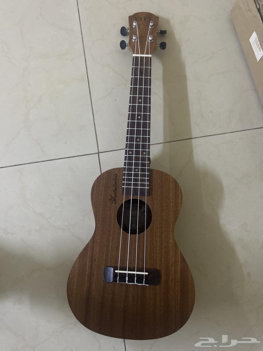 قيتار يوكليلي للبيع في الخرج64432795765889114