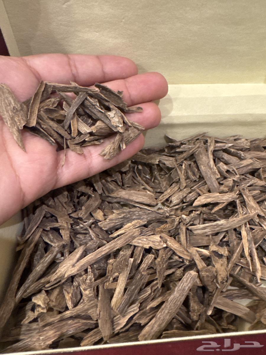 عود طبيعي هندي نجالند اغلبة تربل سوبر للاستخدام الشخصي64429627627906112