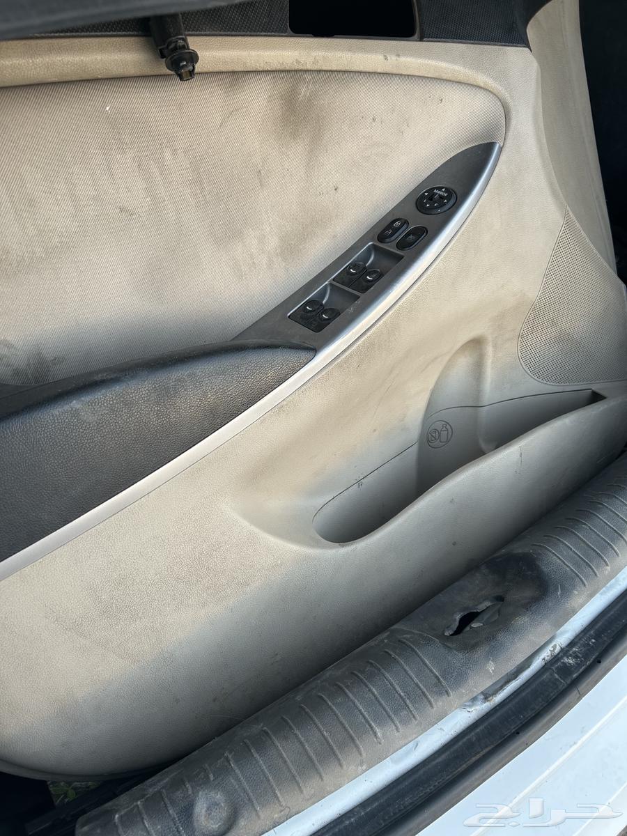 ديكور باب اكسنت 201864591080822146111