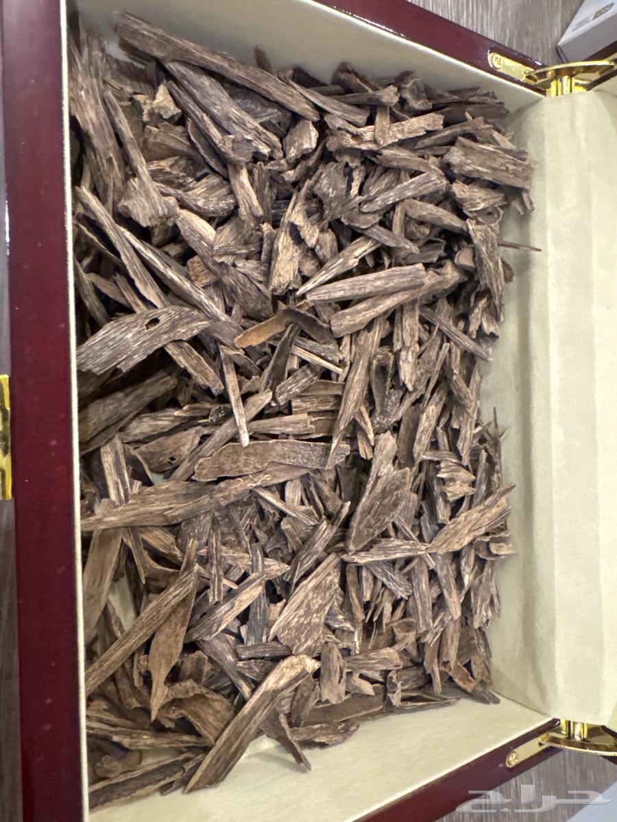 عود طبيعي هندي نجالند اغلبة تربل سوبر للاستخدام الشخصي64429627627906110