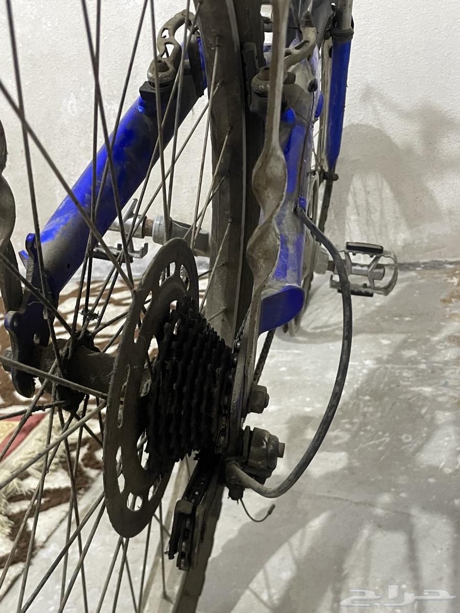 سيكل رياضي للبيع64430070787715114