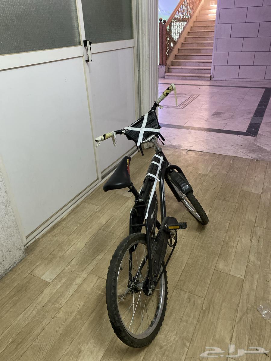 سيكل صيني درجه164429532372481110