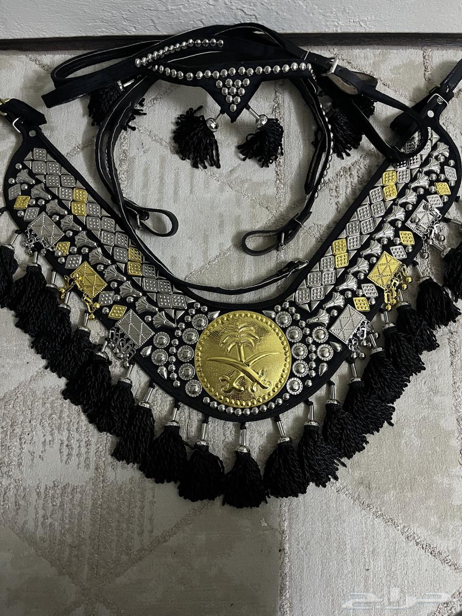 زينة اليوم الوطني جديدة64429695165825110