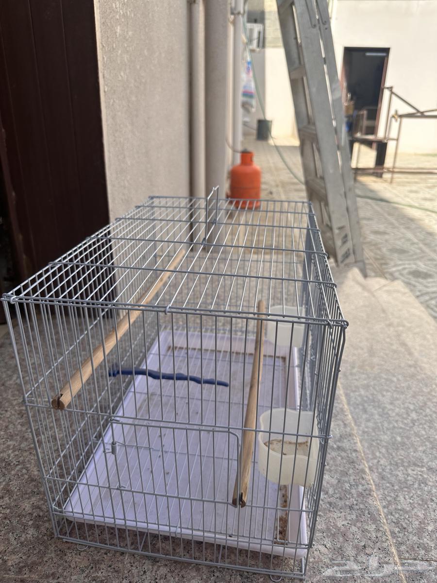 قفص طيور64429600250241112