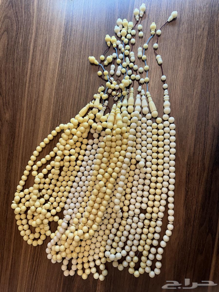 توفر دومنه عرض خاص 119 شامل شحن64427089464194111