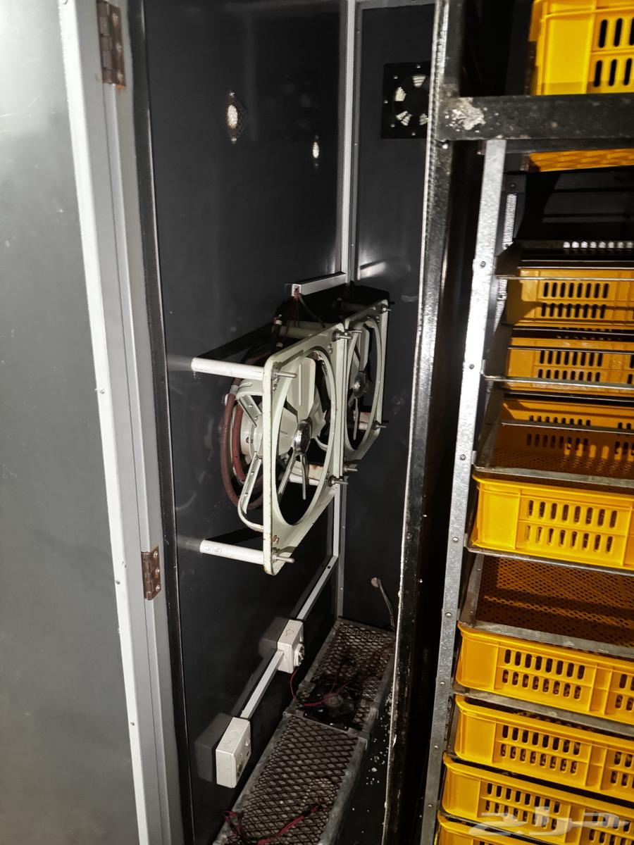 Automatic incubator 3500 eggs64433337063683111