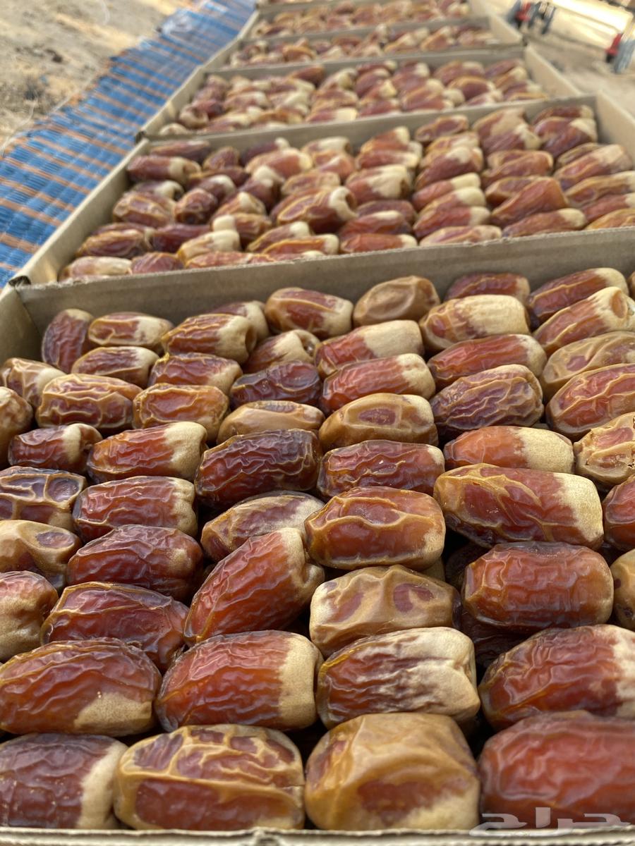 Second-grade Safawi dates64427731148931112