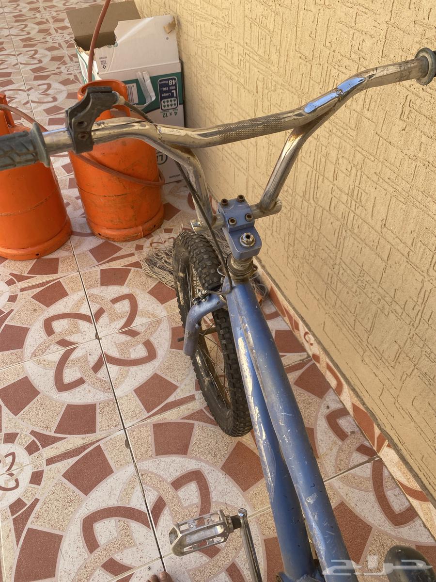 سيكل كوبرا64427865475331114