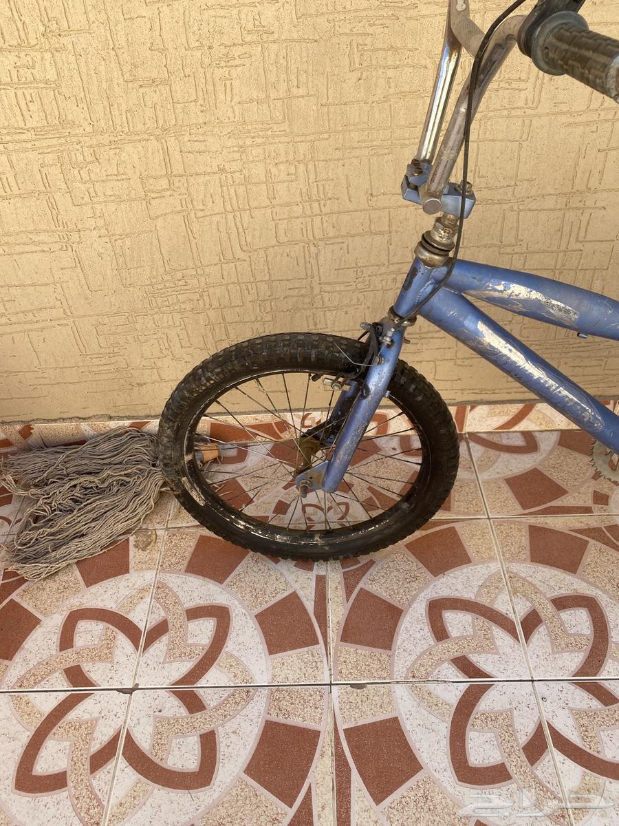 سيكل كوبرا64427865475331113