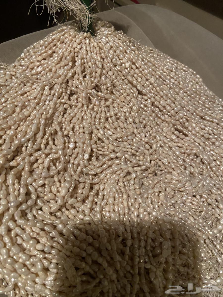 للبيع لؤلؤ64426268434307110